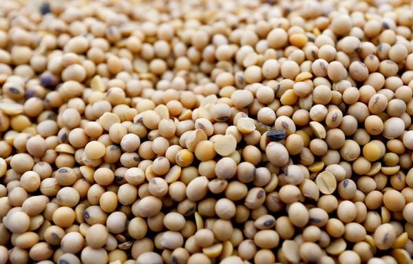 After the Trump administration unveiled plans to impose tariffs on $50 billion in Chinese imports China lashed back matching the American tariffs with plans to tax $50 billion of U.S. products including soybeans, corn and wheat. (AP Pho