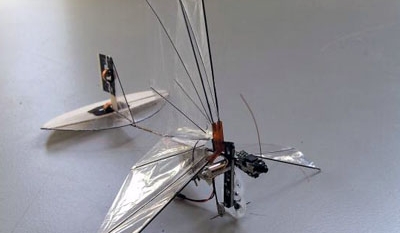 Robotic Fly – World’s First Fly Mimic