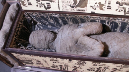 German Boy finds Mummy in Grandmother’s Attic