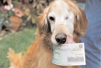 Man Reimbursed Money Chowed Down By His Dog