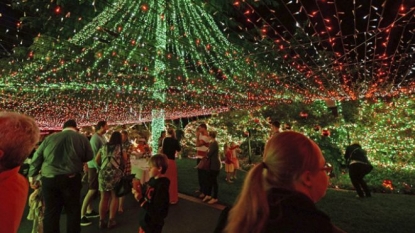 World Record: Lighting half million bulbs on house