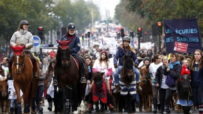 Sales tax rises in France, Protesters said that the horses will suffer