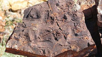 Oldest example of life on earth have been found