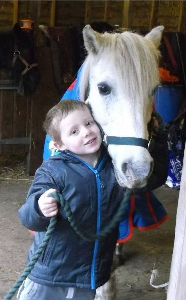 A campaign via Facebook to reunite the heartbroken child with his stolen pony