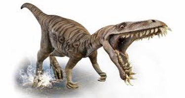 Dinosaurs could be brought back in the world, scientists said