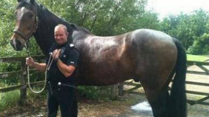 Thief fails to outrun a horse, police arrested