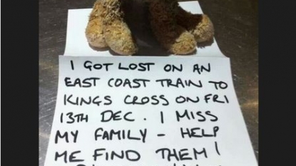 Twitter helped in reuniting the lost teddy to his owner