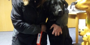 Dog saved life of her owner after she began choking because of a chocolate