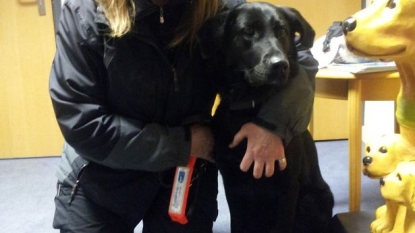 Dog saved life of her owner after she began choking because of a chocolate