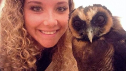 Owl forces her owner to watch movies that she hates