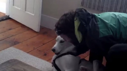 Dog said ‘no’ in adorable style when owner asked for going to Kennel