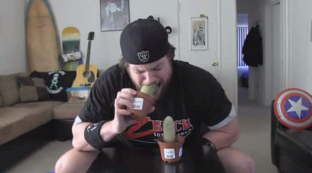 man eating cactus1