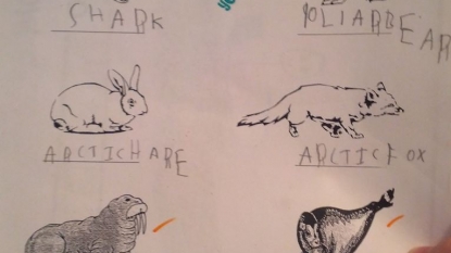 Five year old kid has introduced a new creature called “word bank” in his exam