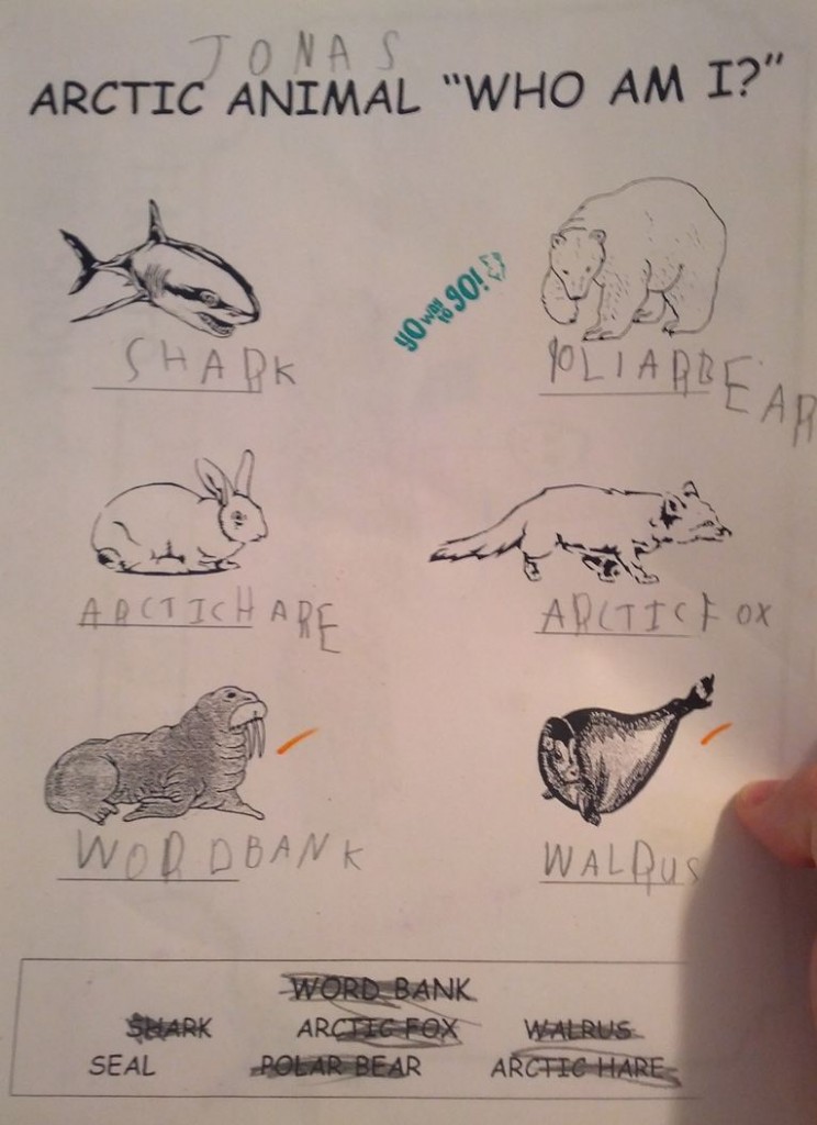 Five year old kid has introduced a new specie called “word bank” in his exam