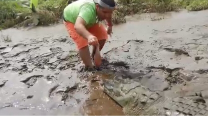 A brave man who feeds crocodile just like you feeds your dog