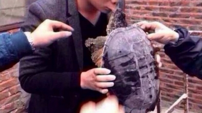 Chinese man proved why you should not kiss a turtle