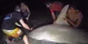 Fisherman caught a 14 ft big shark after ninety minutes battle