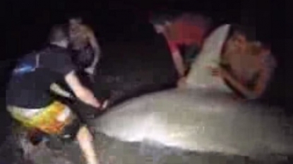 Fisherman caught a 14 ft big shark after ninety minutes battle