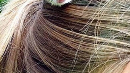 Girl’s hair became the home for a little squirrel