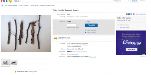 Six unique twigs are for sale on eBay