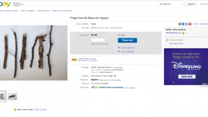 Six unique twigs are for sale on eBay