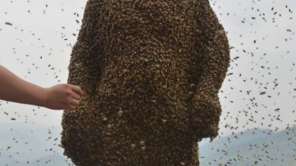 A man who let thousands of bees to sting on his body just enjoying