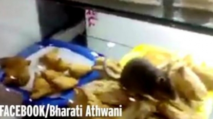 A rat has been spotted on the airport’s deli counter eating a bread roll