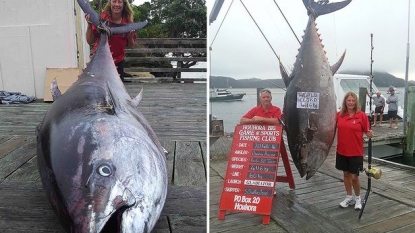 Anglers caught a giant fish of around 400 kg weight in 4 hours battle