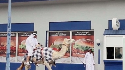 Comedian on camel went to order a burger at drive-thru