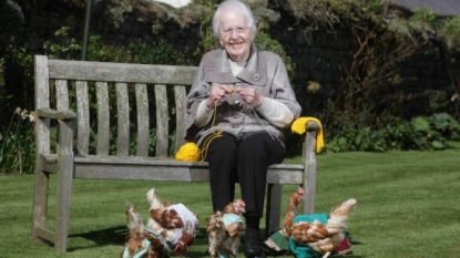 Lady designed ‘tank top sweaters’ for group of hens