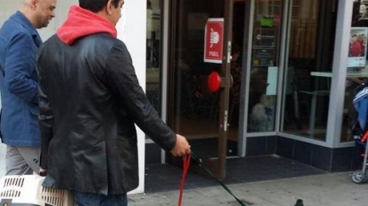 Man spotted having a walk with his ‘ducks’