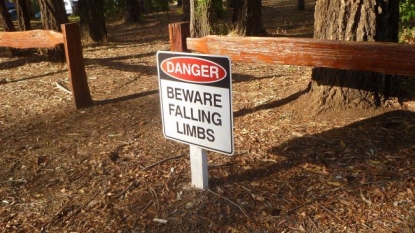 Beware of falling ‘limbs’ when visiting this caravan park in Australia