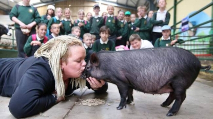 Teacher had to kiss a pig after she lost a bet with his students