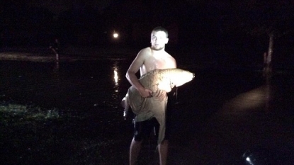 Teen caught an 18KG fish with his bare hands from the flooded street