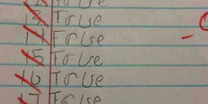 Unfortunate student got zero marks after his attempt of writing ‘true’ for all questions gone wrong