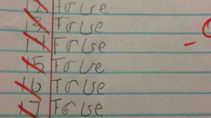 Unfortunate student got zero marks after his attempt of writing ‘true’ for all questions gone wrong