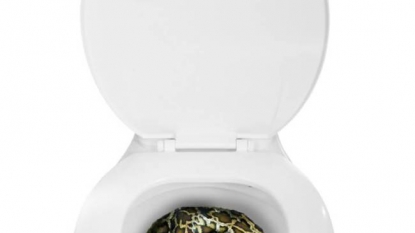 Woman preferring to go in public toilet after she found an 6 feet python in her home toilet