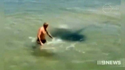 And when a man tried to act smart before stingrays