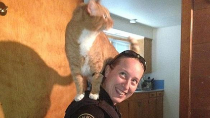 Cat remained on shoulder of police officer during an investigation