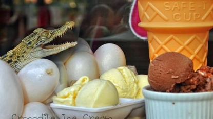 Crocodile flavored ice cream is a new thing