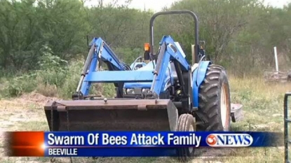 Family suffered from the sudden attack of bees in Beeville