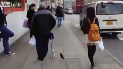 Going for a walk with ‘pet bird’ is a thing in Hong Kong