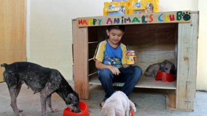 Nine year old boy who feeds stray dogs with his pocket money is now set to open his own animal shelter