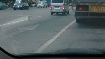 Pig jumped from a moving truck to escape the slaughterhouse