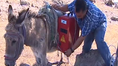 Solar powered donkeys are the new thing in Turkey