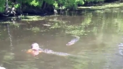 This is just a brave man who is feeding alligator with his bare hands