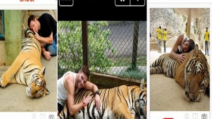 Law makers in New York banned capturing photo with tigers