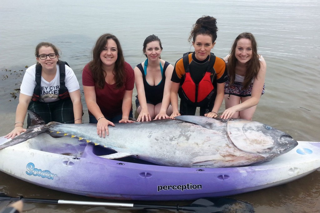 Group of friend found giant tuna fish worth million dollar during their kayak trip