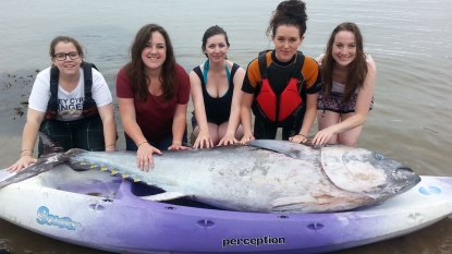 Group of friend found giant tuna fish worth million dollar during their kayak trip