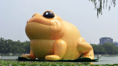 Visitors got new ‘golden toad’ after the giant yellow duck went missing